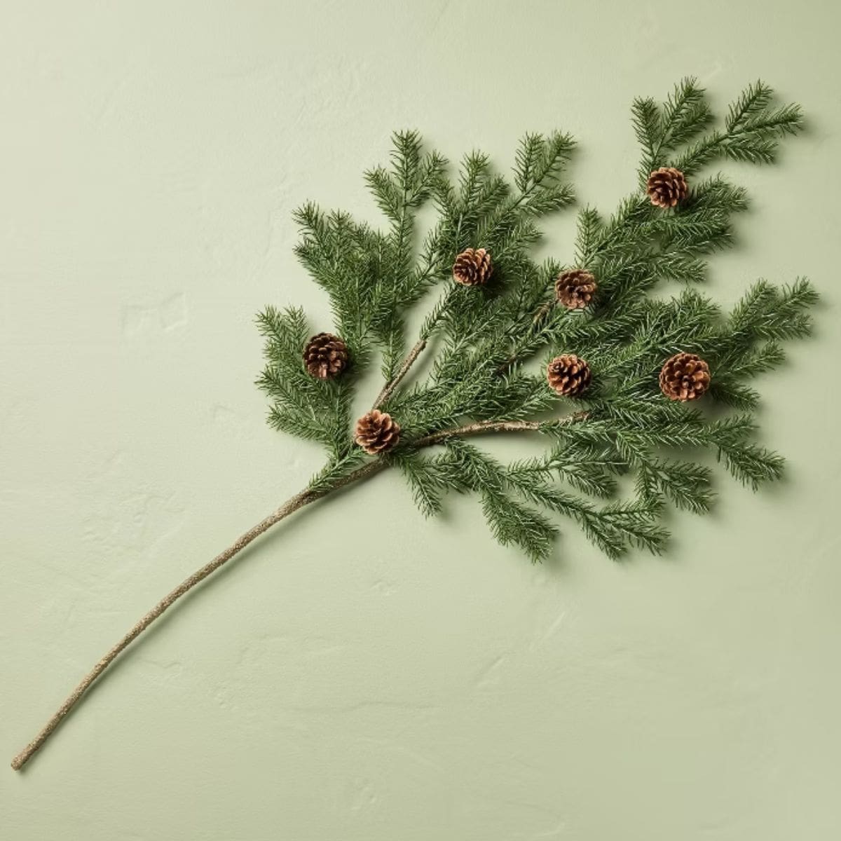 Green pine branch with several small brown pinecones arranged diagonally on a light sage green background.