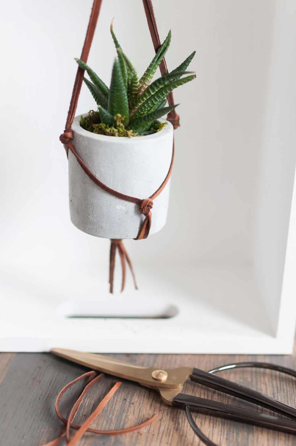 Leather Macrame Hanging Succulent Planter Tutorial - The Crafty Blog ...