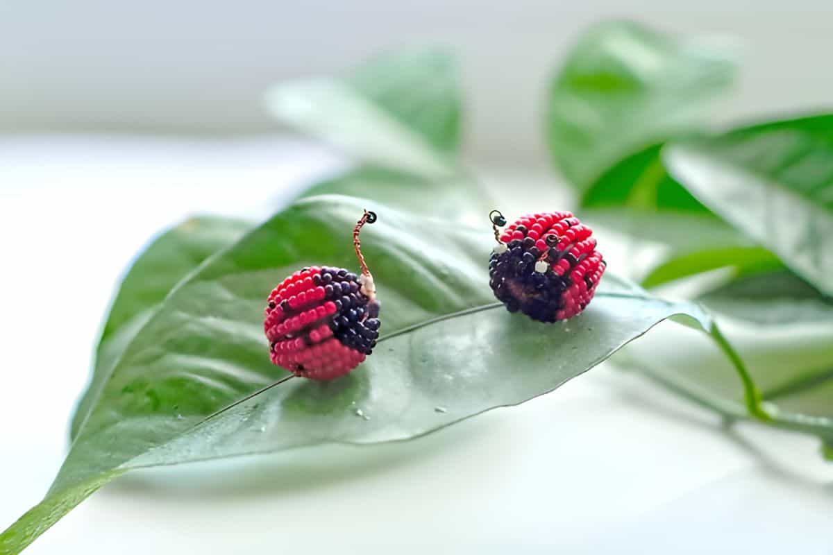 Two Beaded Ladybugs on a leaf.