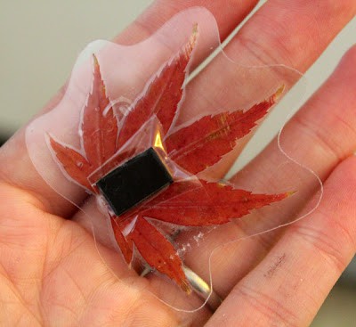 Laminated Autumn Leaf Magnets