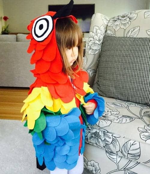 20 Halloween Costume Ideas for Kids made with a Hoodie | Page 3 of 4