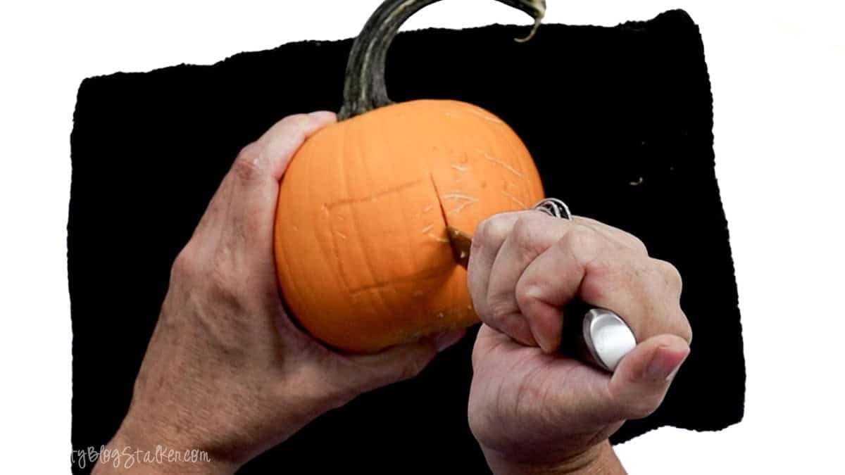 Carving a rectangular mouth opening into a small orange pumpkin with a knife to make a vampire pumpkin.