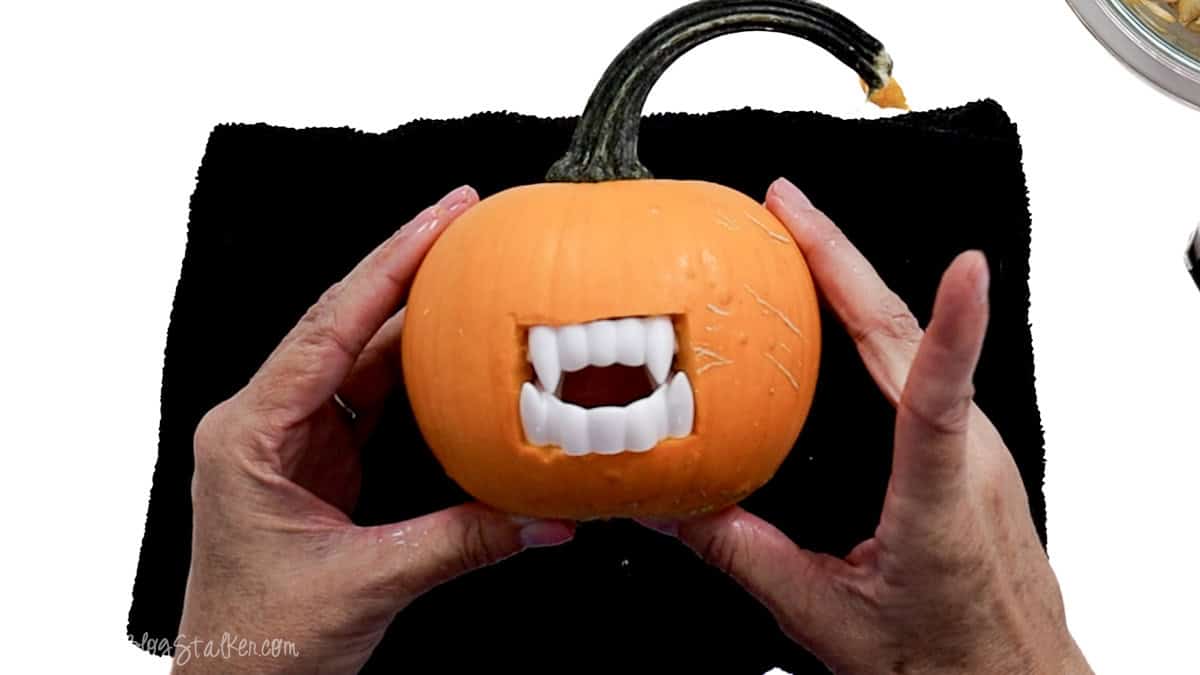 Small orange vampire pumpkin with plastic fangs fitted inside a carved mouth opening, ready for googly eyes.