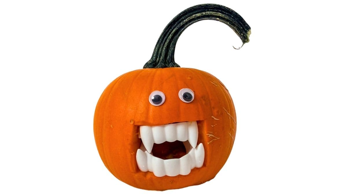Finished vampire pumpkin with googly eyes, plastic fangs, a carved mouth, and a long curved stem.