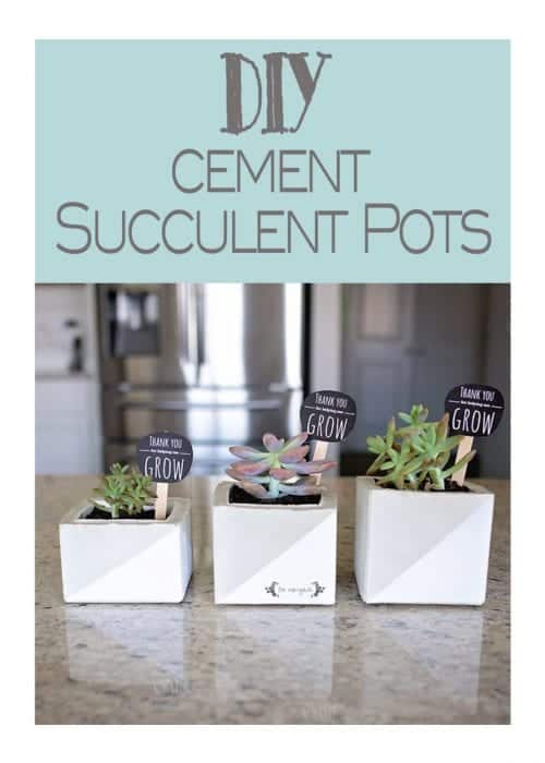 Cement Succulent Pots