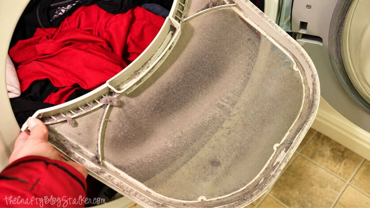Dirty dryer lint screen covered with dust and lint being removed from an open clothes dryer.