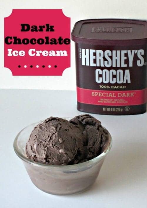 a glass bowl with two scoops of dark chocolate ice cream
