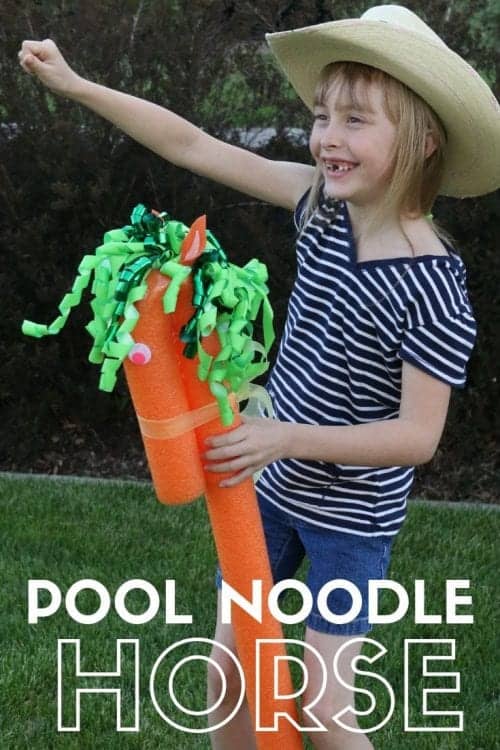 Pool Noodle Horse