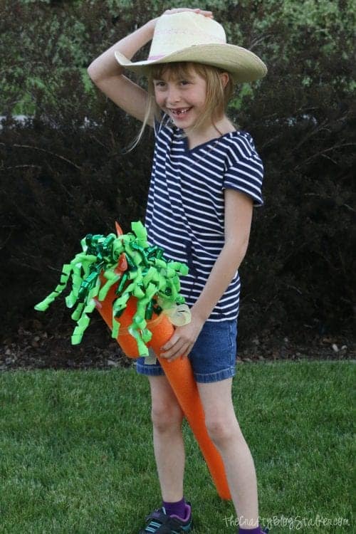 How to Make a Super Fun Pool Noodle Horse, a Complete Tutorial featured by top US craft blog, The Crafty Blog Stalker