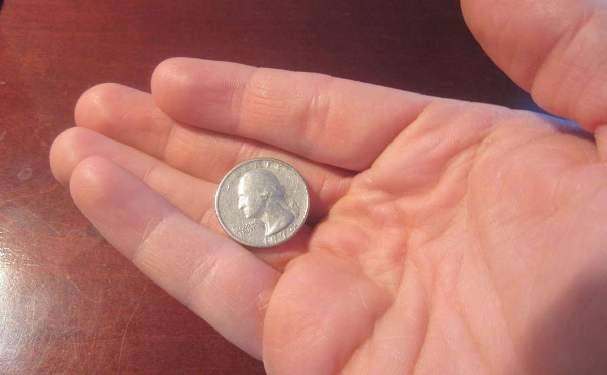 A hand holding a silver quarter.