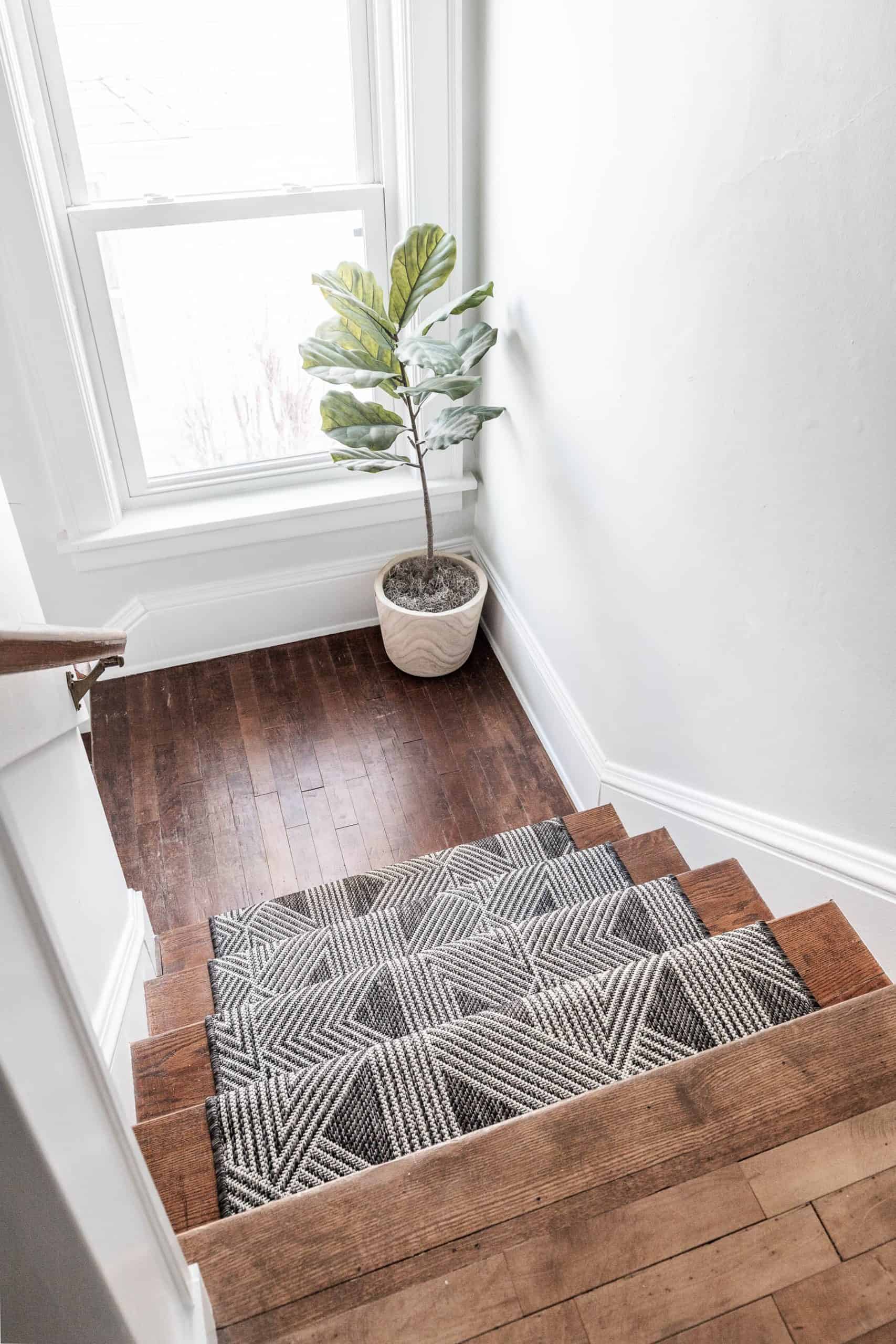 Staircase with patterned rug and potted plant by window.