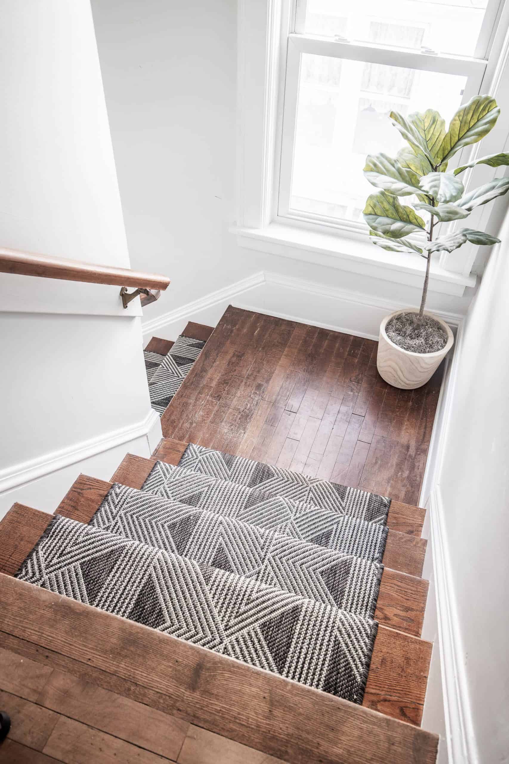 Staircase with a patterned stair runner and a potted plant by the window.