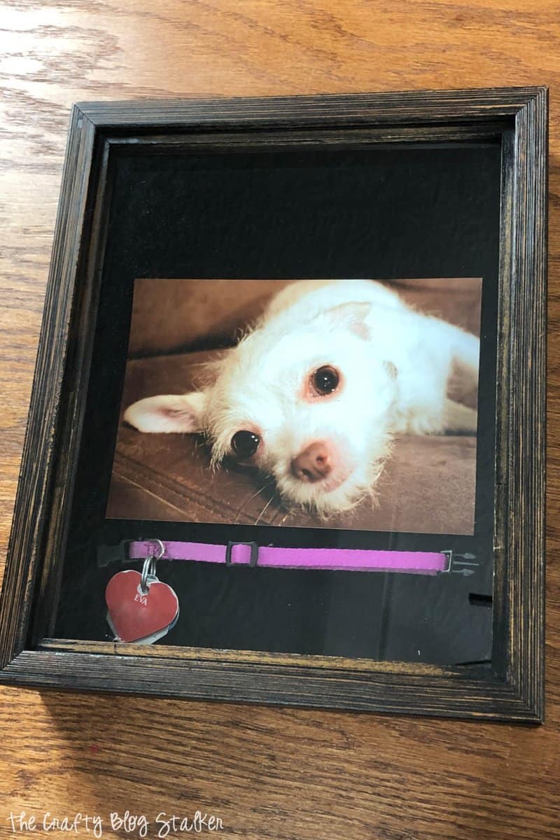 Meaningful Pet Memorial Shadow Box The Crafty Blog Stalker