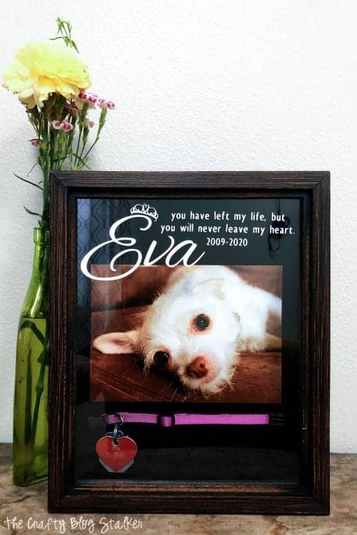 the finished pet memorial shadow box frame
