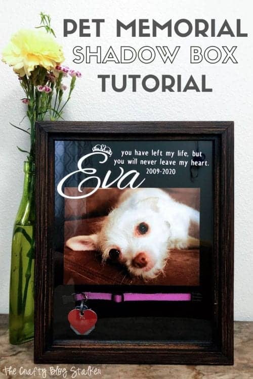 Meaningful Pet Memorial Shadow Box | The Crafty Blog Stalker