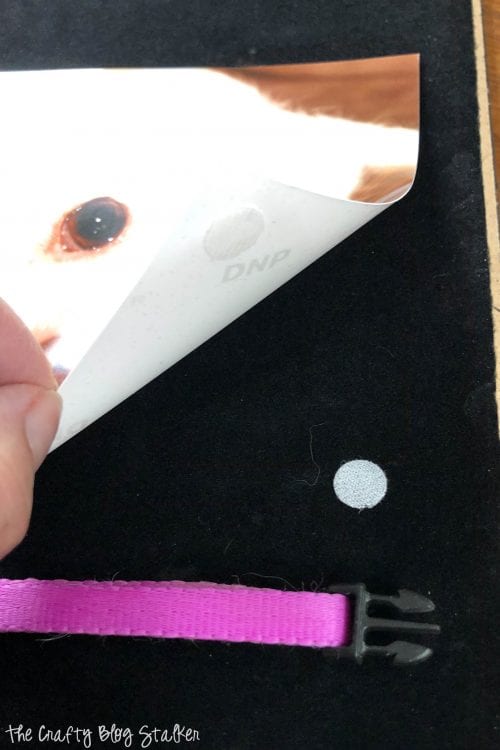 placing velcro dots on the velvet backing to adhere photo