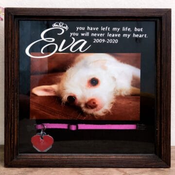Framed pet memorial shadow box displaying a dog photo, personalized name and dates, and the dog’s collar with a heart-shaped tag arranged beneath the photo.