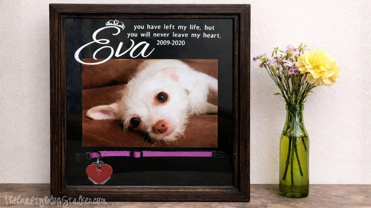 Finished pet memorial shadow box featuring a framed photo of a dog, a collar with heart-shaped tag, and a vase of flowers displayed beside the frame.