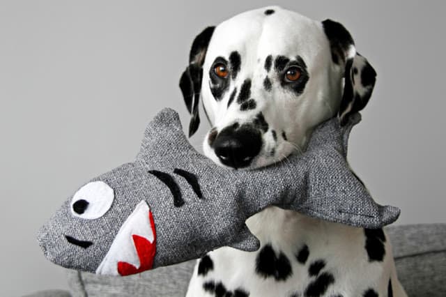 Squeaky Softy Shark Dog Toy.