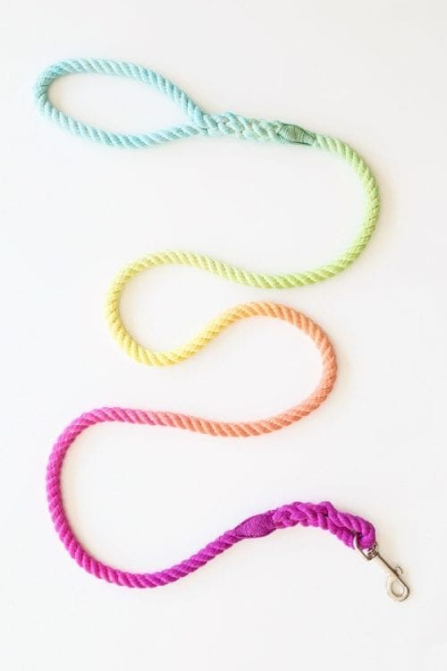 20 DIY Crafts for Dogs featured by top US craft blog, The Crafty Blog Stalker:  DIY Technicolor Dog Leash