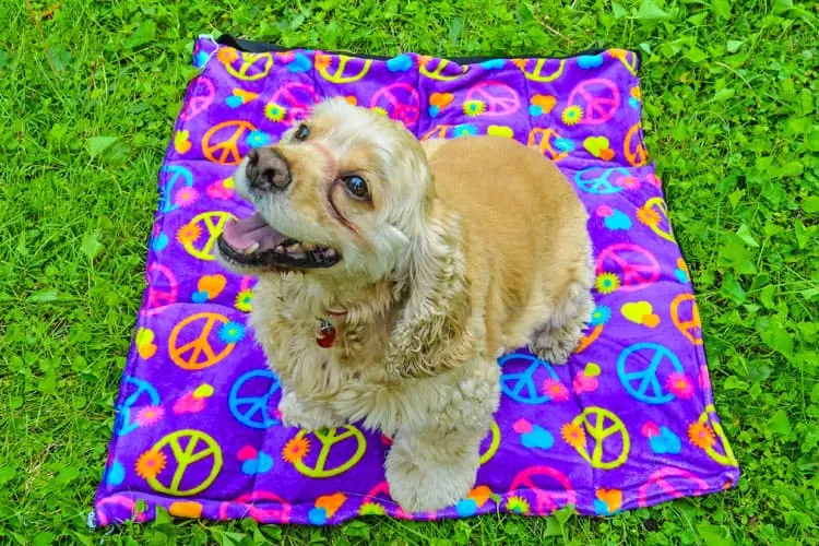 DIY Pet Cooling Mat.