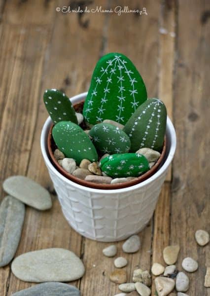 Stone Cactus