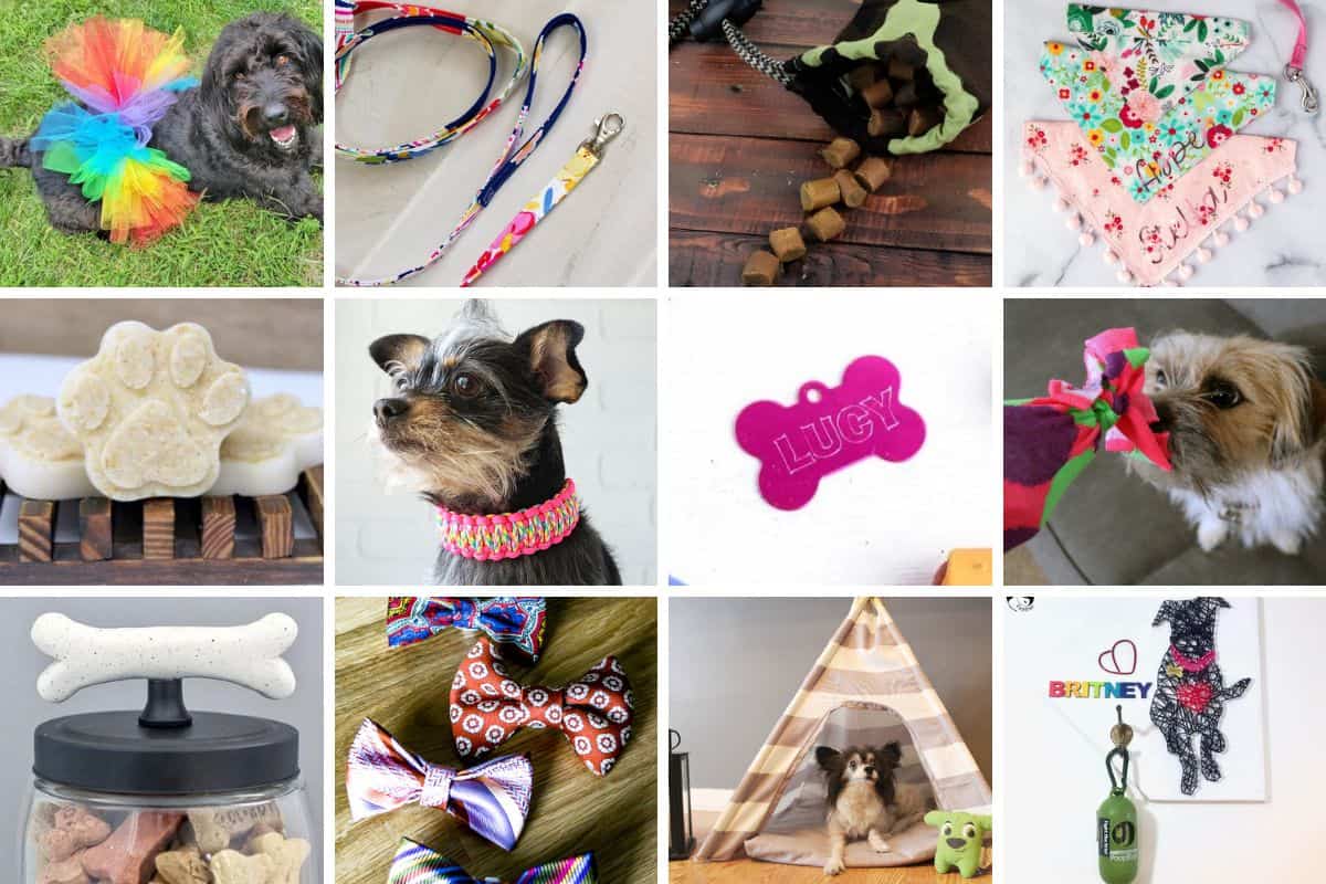 title image for 20 DIY Dog Crafts That Are Fun And Interactive