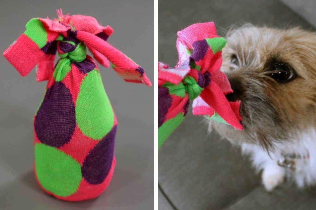 How to Make an Empty Water Bottle Dog Toy Cruncher, a tutorial featured by top US craft blog, The Crafty Blog Stalker.
