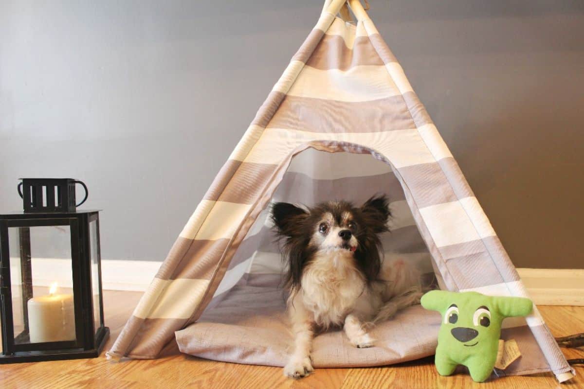 DIY Dog Tent.
