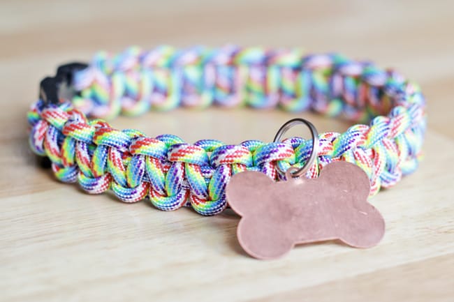 Rainbow Paracord Dog Collar.