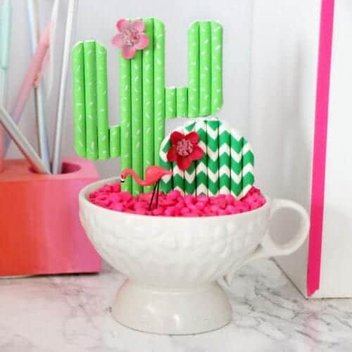 Cute Cactus Decor