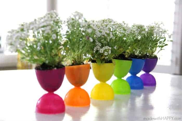 Plastic Easter eggs pots.
