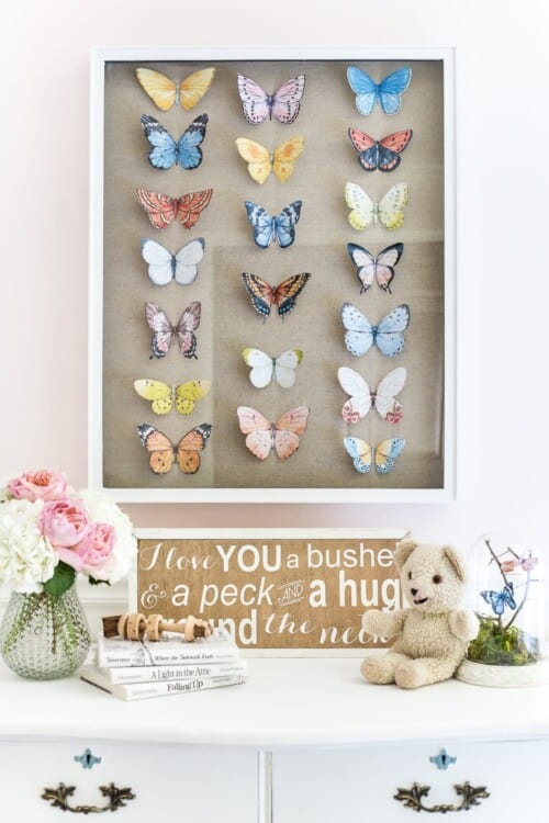 butterfly study shadow box