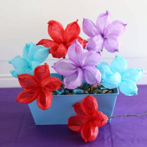 Twisted Tissue Paper Flowers