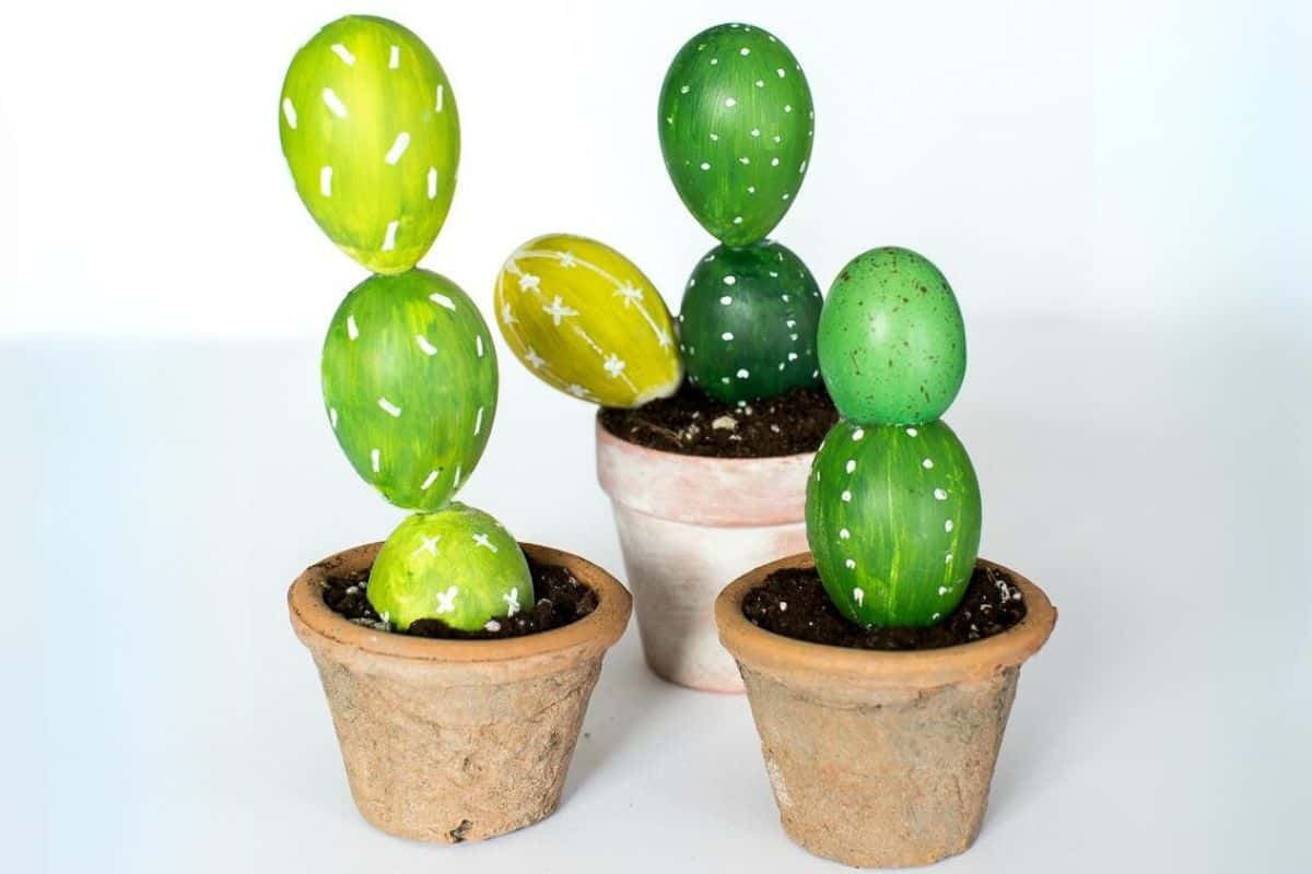 Cactus from Easter Eggs.