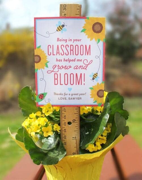 "Bloom in Your Classroom" Flower Teacher Gift Idea