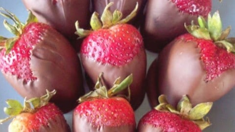 Chocolate Covered Strawberries - Chocolate Covered Katie