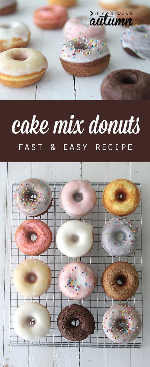 Download cake mix donuts fast easy recipe any flavor | The Crafty ...