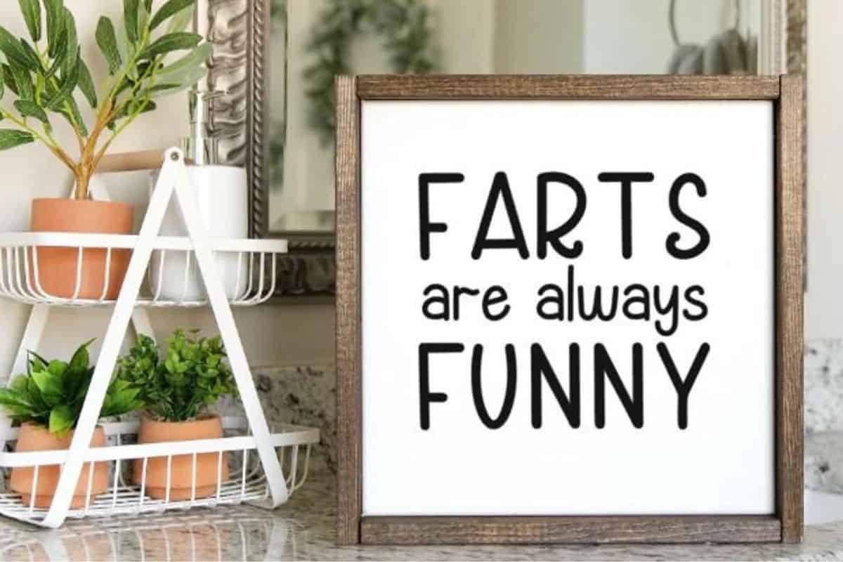 Bathroom Sign - farts are always funny.