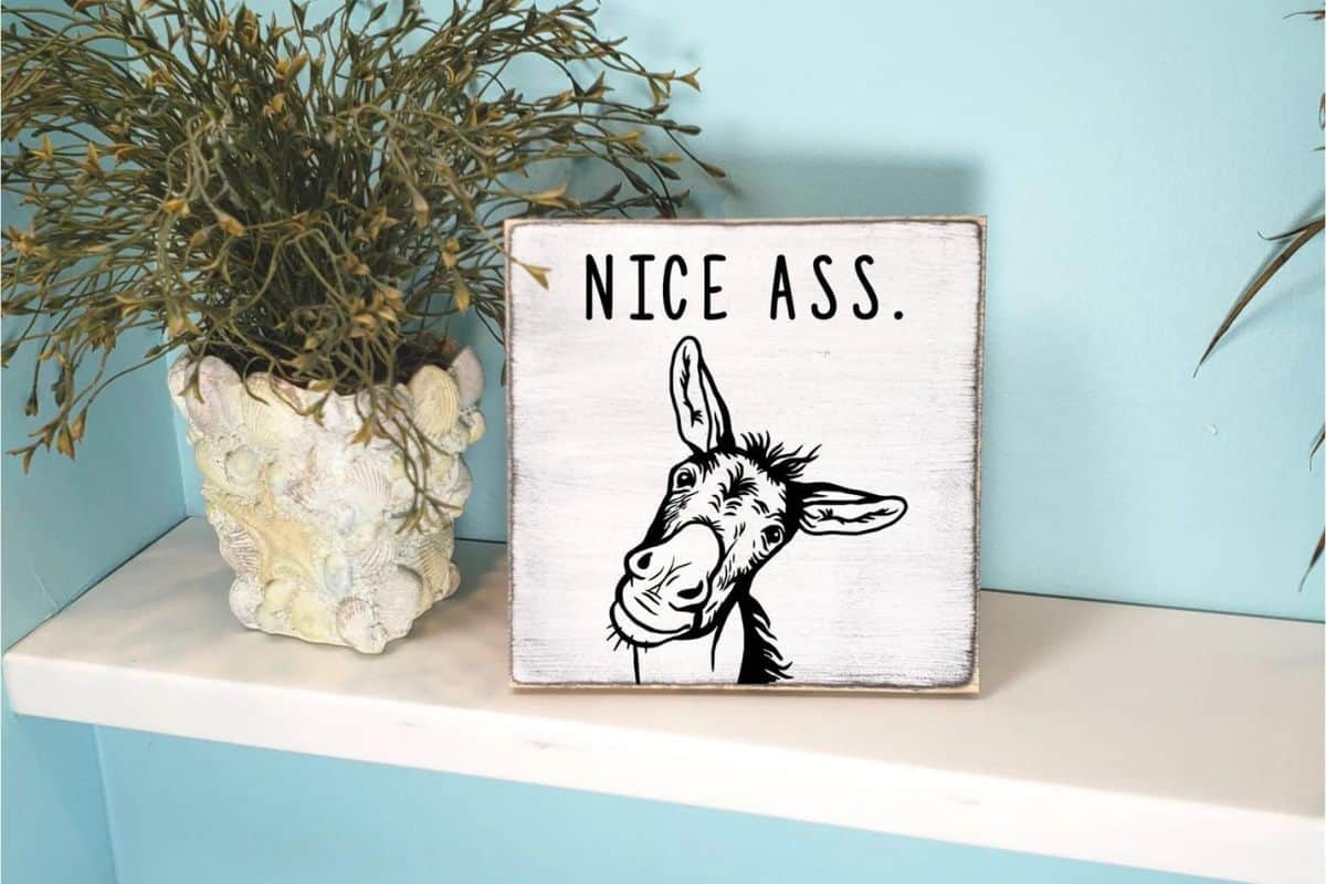 A sign that reads - nice ass.