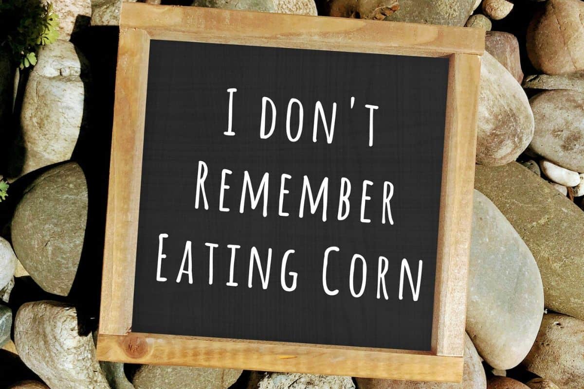 Bathroom Sign - I Don't Remember Eating Corn.