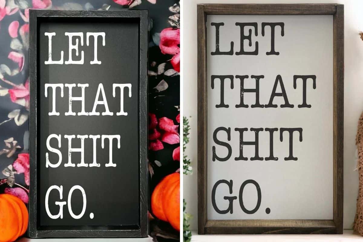 Two Bathroom Signs - let that shit go.