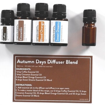autumn days diffuser recipe 7