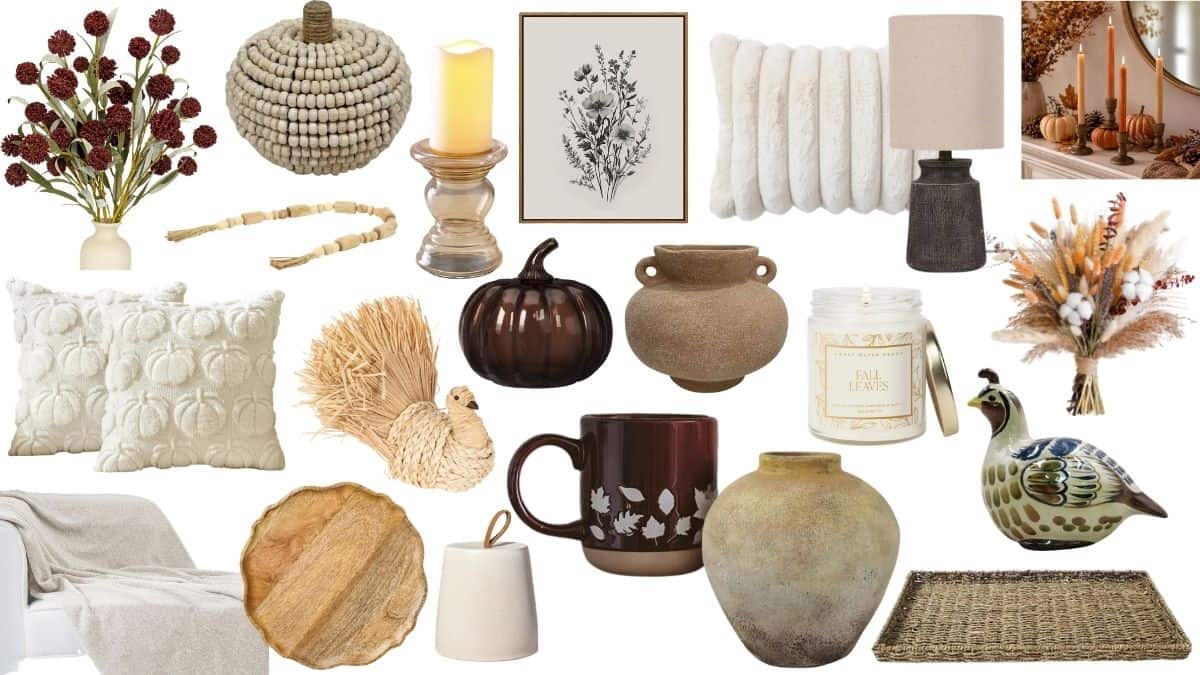 Collage of neutral fall living room decor including pillows, pumpkins, vases, candles, floral arrangements, trays, a lamp, mug, and wall art.