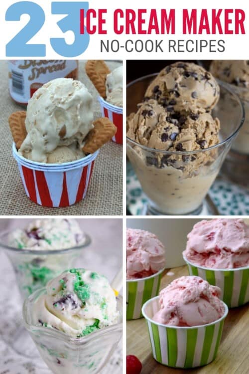 title image for 23 Flavorful No-Cook Ice Cream Maker Recipes
