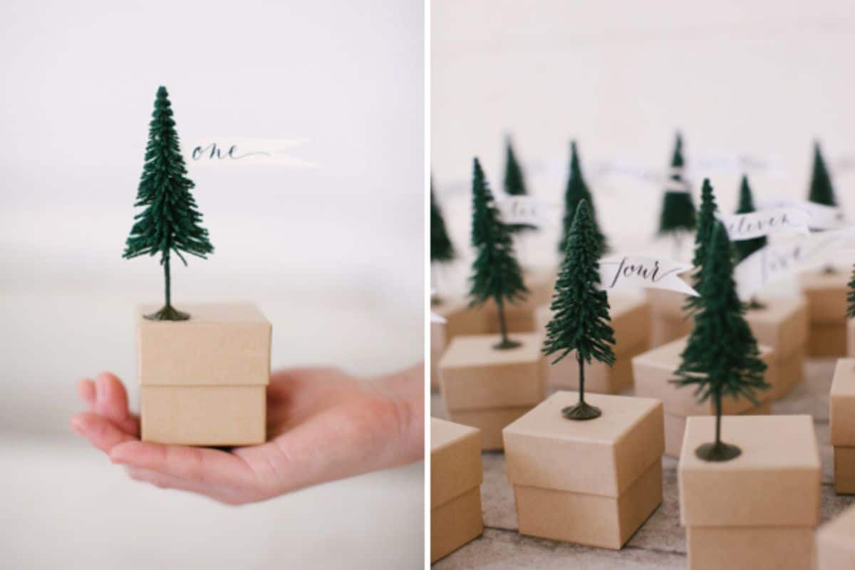 Mini Tree Advent Calendar Boxes.