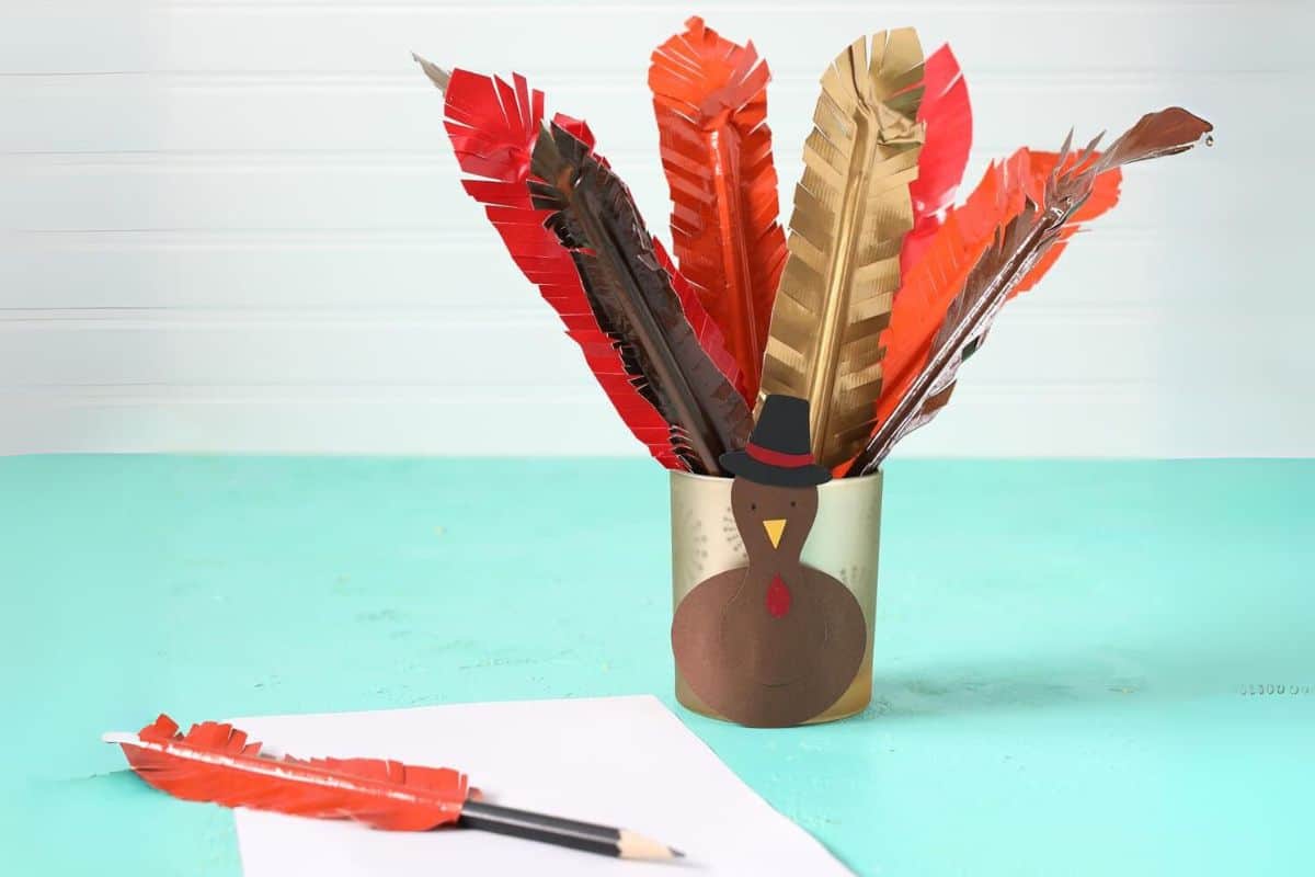 Turkey Feather Pens.