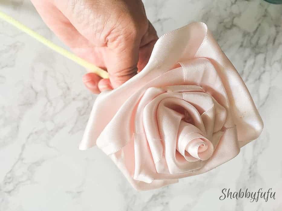 A hand holding a long stem ribbon rose.