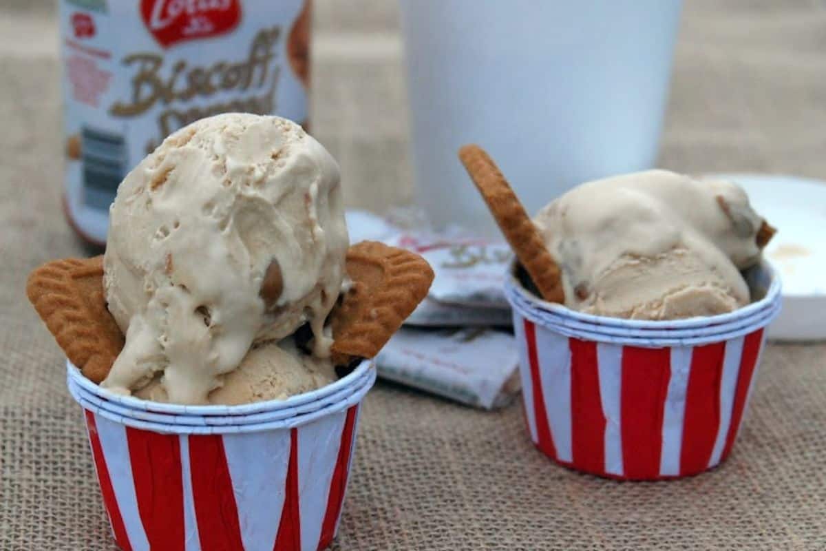https://thecraftyblogstalker.com/wp-content/uploads/2022/05/ice-cream-maker-recipes-1.jpg