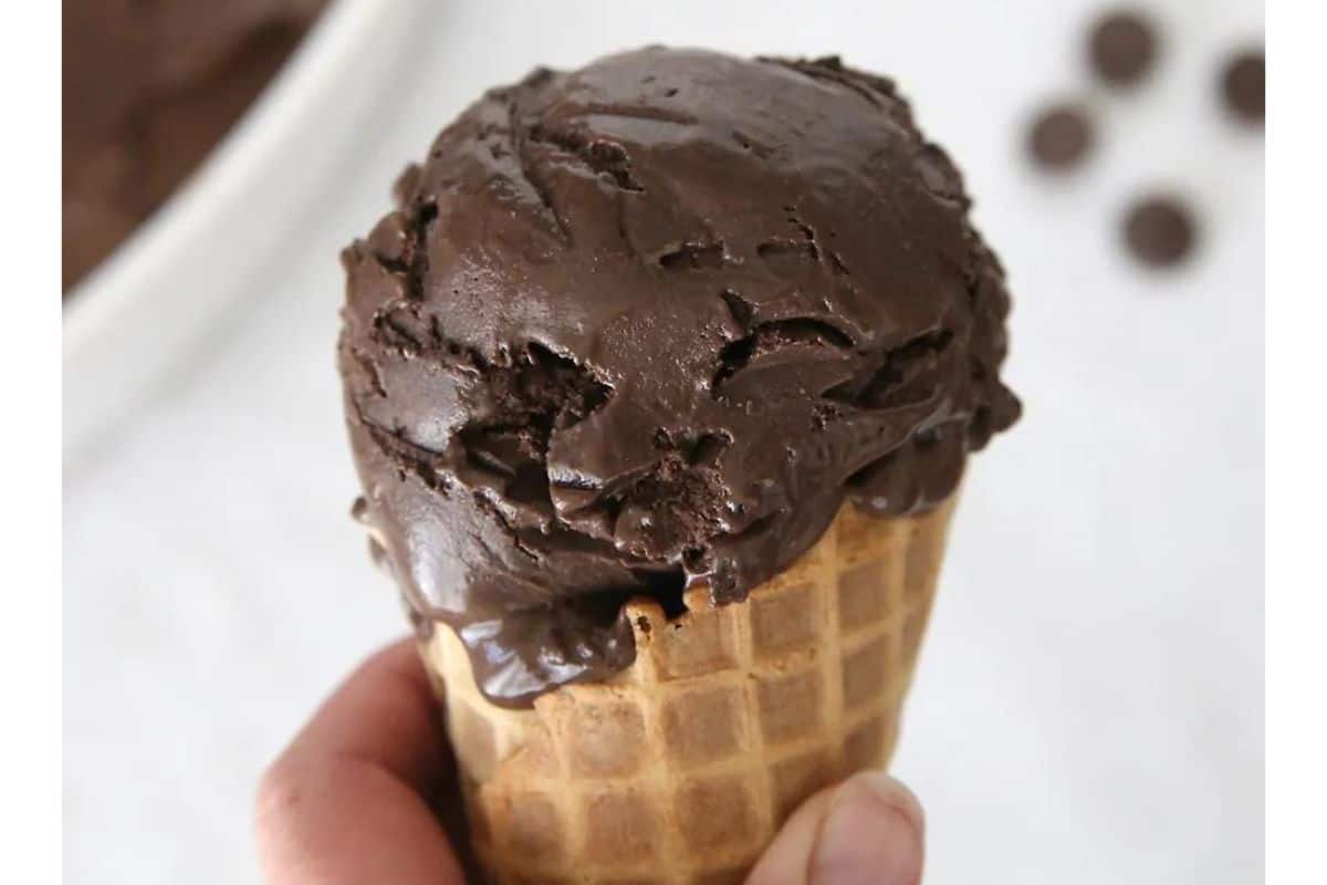 Dark Chocolate Fudge Ice Cream.